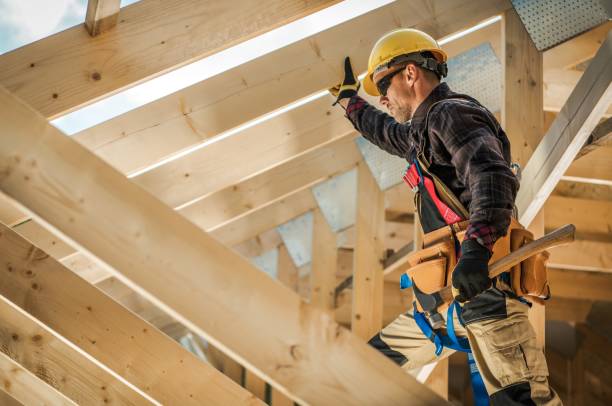 Best Metal Roofing Contractor  in Brooklyn Park, MN