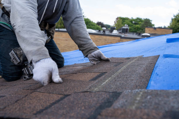 Best Roof Waterproofing Services  in Brooklyn Park, MN