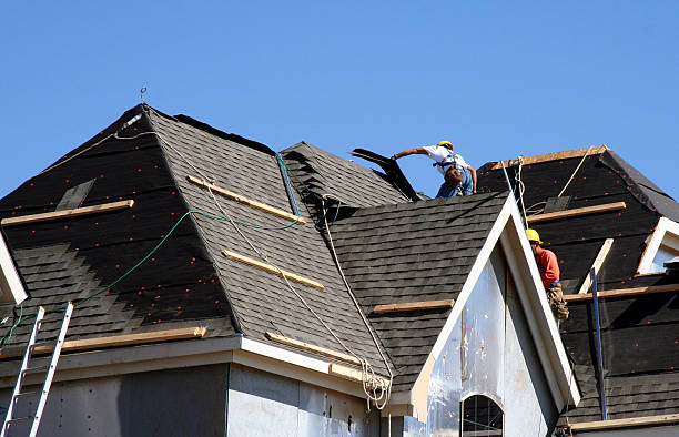 Roof Gutter Cleaning in Brooklyn Park, MN