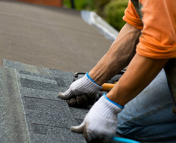Best Roof Replacement Cost  in Brooklyn Park, MN