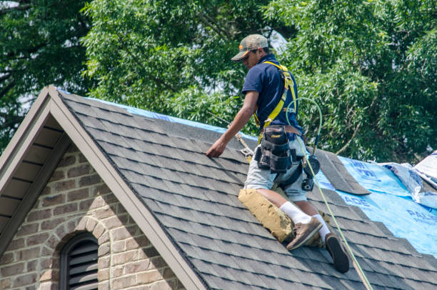 Professional Roofing Contractor in Brooklyn Park, MN